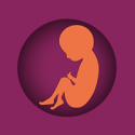 logo Zwangerschapsmeter
