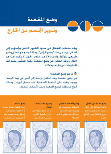 arabic brochure